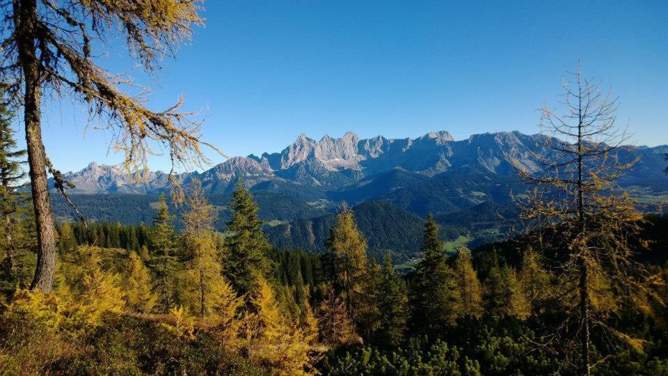 Ferienhaus Lechnerhof Schladming Buitenkant foto
