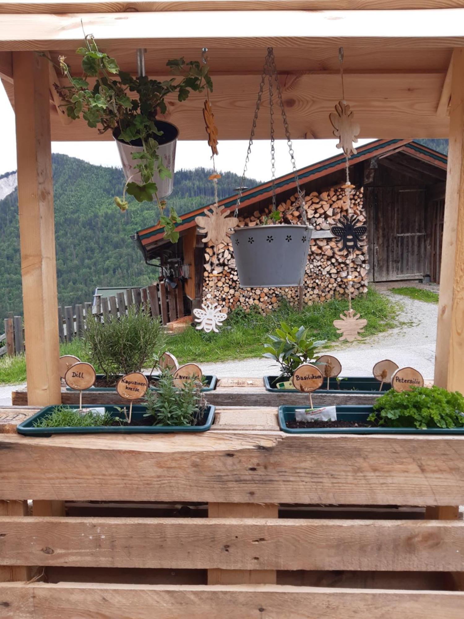 Ferienhaus Lechnerhof Schladming Buitenkant foto
